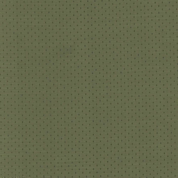 Scruple Forest by Kasmir Fabric 5099 INDIA 20,000 Wyzenbeek Double Rubs H: 6/8 inches, V:6/8 inches 54 - 55 - Fabric Carolina - Kasmir