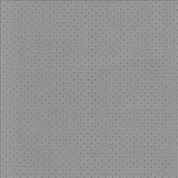 Scruple Grey by Kasmir Fabric 5100 100% Polyester INDIA 20,000 Wyzenbeek Double Rubs H: 6/8 inches, V: 6/8 inches 54 - 55 - Fabric Carolina - Kasmir