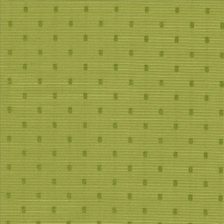 Scruple Lime by Kasmir Fabric 5099 100% Polyester
 INDIA 20,000 Wyzenbeek Double Rubs Horizontal: 6/8 inches and Vertical: 6/8 inches 54 - Fabric Carolina -