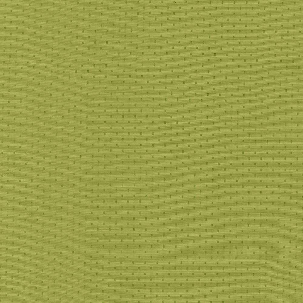 Scruple Lime by Kasmir Fabric 5099 INDIA 20,000 Wyzenbeek Double Rubs H: 6/8 inches, V:6/8 inches 54 - 55 - Fabric Carolina - Kasmir