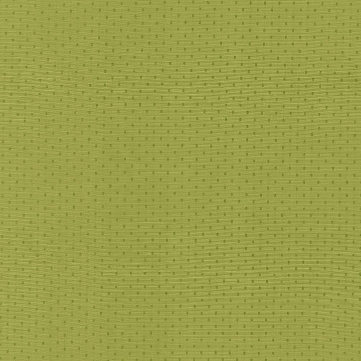 Scruple Lime by Kasmir Fabric 5099 INDIA 20,000 Wyzenbeek Double Rubs H: 6/8 inches, V:6/8 inches 54 - 55 - Fabric Carolina - Kasmir