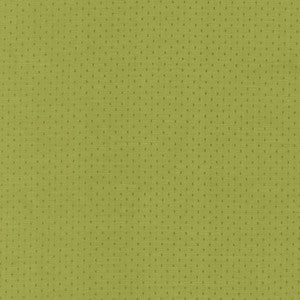 Scruple Lime by Kasmir Fabric
