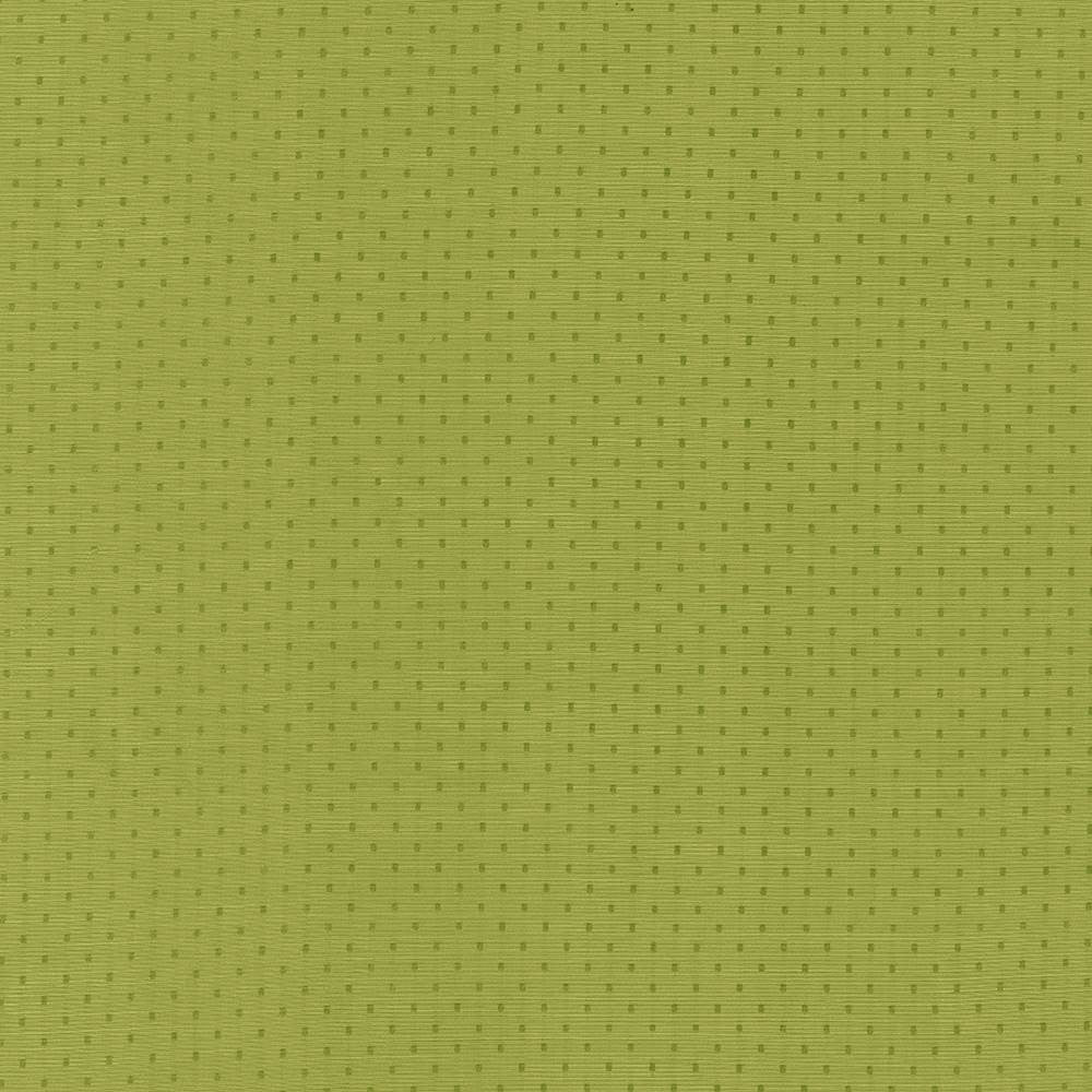 Scruple Lime by Kasmir Fabric 5099 100% Polyester
 INDIA </p><p>Repeat: Horizontal: 6/8 inches and Vertical: 6/8 inches 54 - 55 - Fabric Carolina -