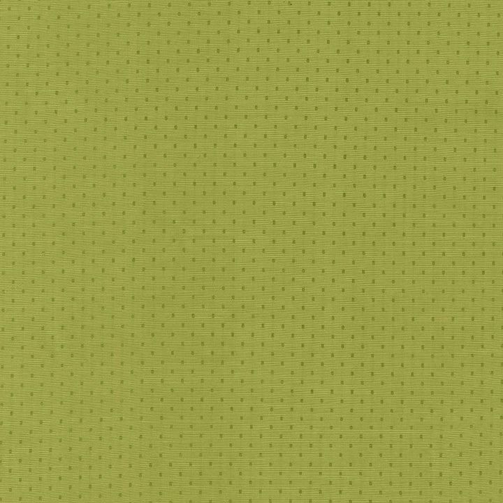 Scruple Lime by Kasmir Fabric 5099 100% Polyester
 INDIA </p><p>Repeat: Horizontal: 6/8 inches and Vertical: 6/8 inches 54 - 55 - Fabric Carolina -