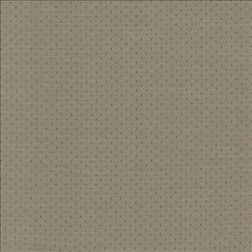 Scruple Slate by Kasmir Fabric 5100 100% Polyester INDIA 20,000 Wyzenbeek Double Rubs H: 6/8 inches, V: 6/8 inches 54 - 55 - Fabric Carolina - Kasmir