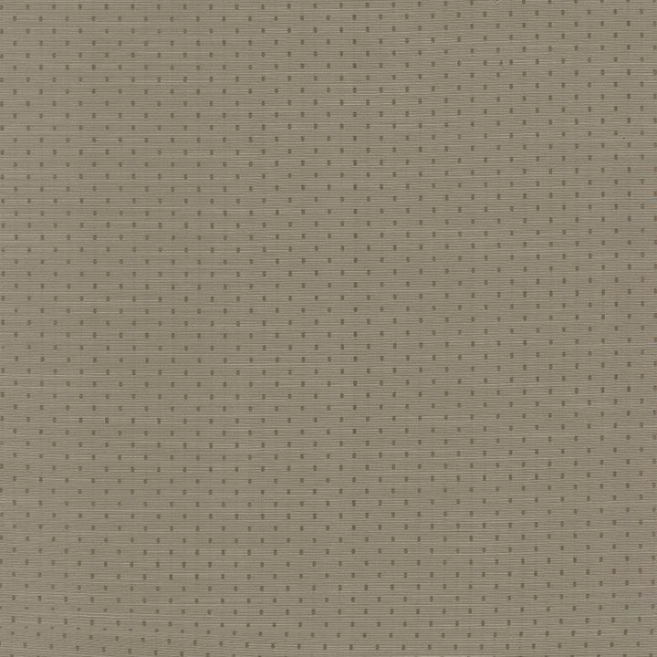 Scruple Slate by Kasmir Fabric 5100 100% Polyester
 INDIA </p><p>Repeat: Horizontal: 6/8 inches and Vertical: 6/8 inches 54 - 55 - Fabric Carolina -