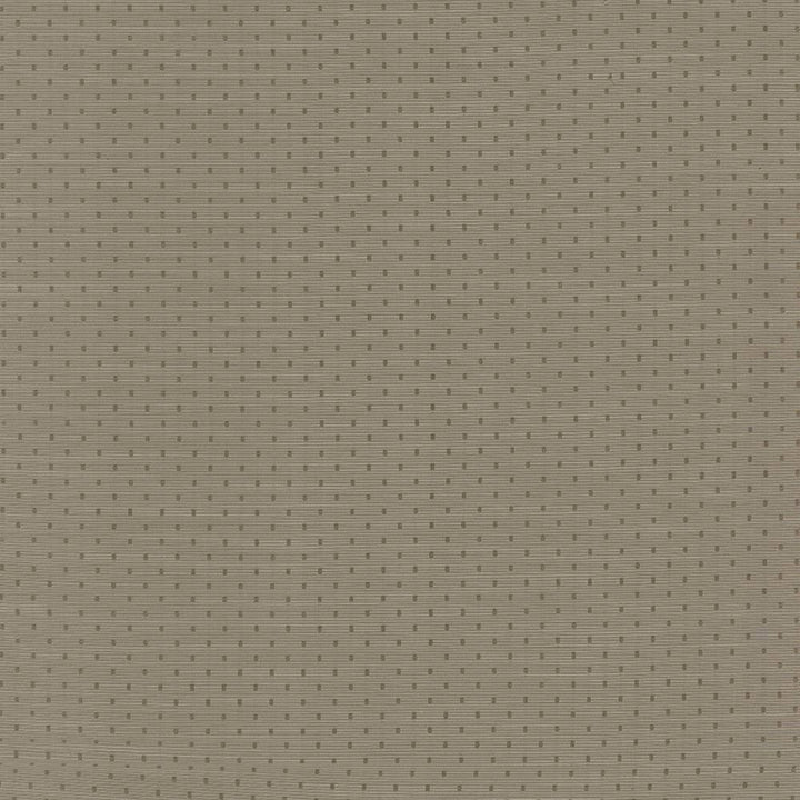 Scruple Slate by Kasmir Fabric 5100 INDIA 20,000 Wyzenbeek Double Rubs H: 6/8 inches, V:6/8 inches 54 - 55 - Fabric Carolina - Kasmir