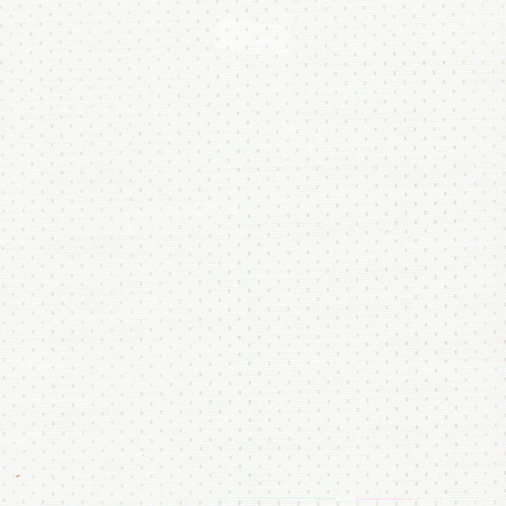 Scruple White by Kasmir Fabric 5092 100% Polyester
 INDIA </p><p>Repeat: Horizontal: 6/8 inches and Vertical: 6/8 inches 54 - 55 - Fabric Carolina -