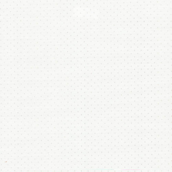 Scruple White by Kasmir Fabric 5092 100% Polyester
 INDIA </p><p>Repeat: Horizontal: 6/8 inches and Vertical: 6/8 inches 54 - 55 - Fabric Carolina -