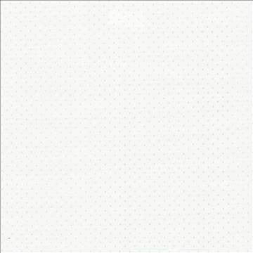 Scruple White by Kasmir Fabric 5092 100% Polyester INDIA 20,000 Wyzenbeek Double Rubs H: 6/8 inches, V: 6/8 inches 54 - 55 - Fabric Carolina - Kasmir