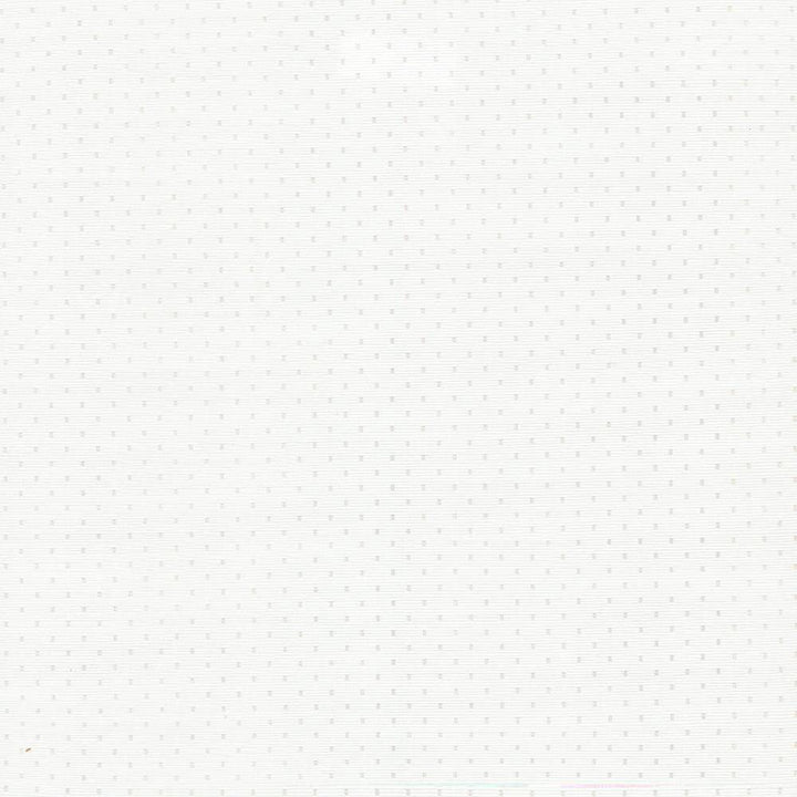 Scruple White by Kasmir Fabric 5092 INDIA 20,000 Wyzenbeek Double Rubs H: 6/8 inches, V:6/8 inches 54 - 55 - Fabric Carolina - Kasmir
