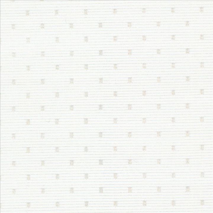 Scruple White by Kasmir Fabric 5092 100% Polyester
 INDIA </p><p>Repeat: Horizontal: 6/8 inches and Vertical: 6/8 inches 54 - 55 - Fabric Carolina -