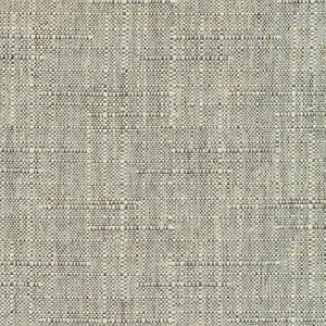 Sea Island Oxford by Kasmir Fabric