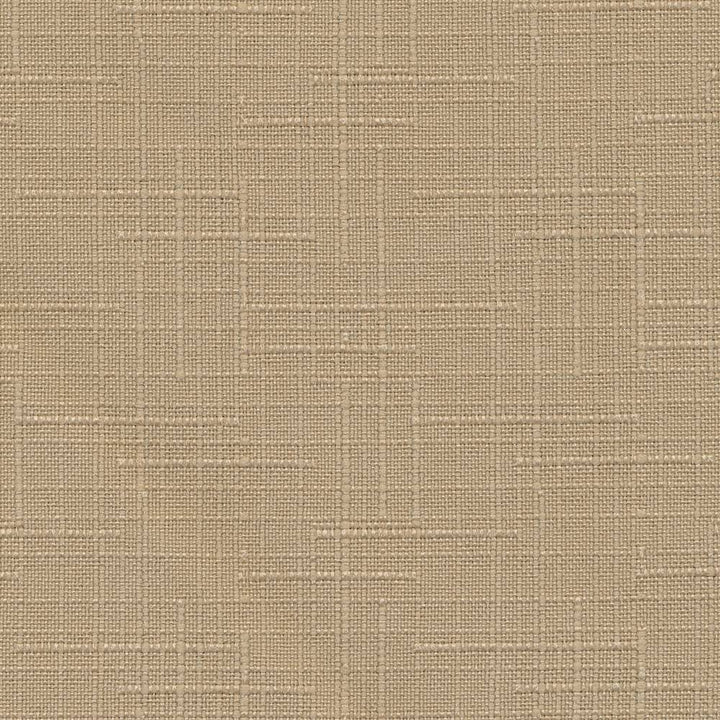 Sea Island Tussah by Kasmir Fabric 1375 TAIWAN Not Tested H: N/A, V:N/A 54 - 55 - Fabric Carolina - Kasmir