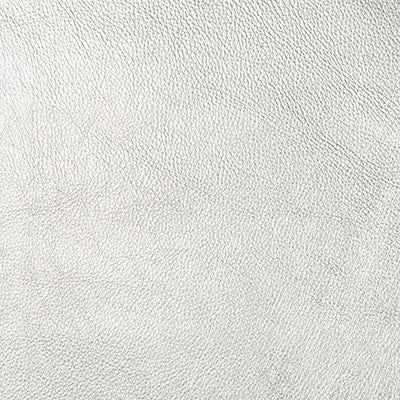 Secretariat 11 by Kravet Design Fabric