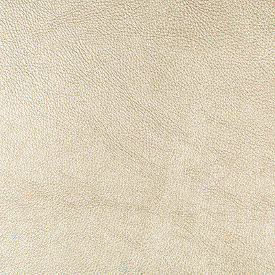 Secretariat 14 by Kravet Design Fabric