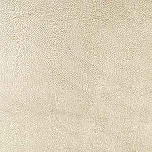 Secretariat 14 by Kravet Design Fabric