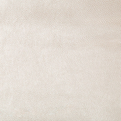Secretariat 16 by Kravet Design Fabric