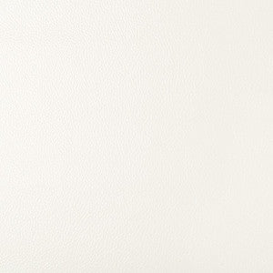 Secretariat 1 by Kravet Design Fabric