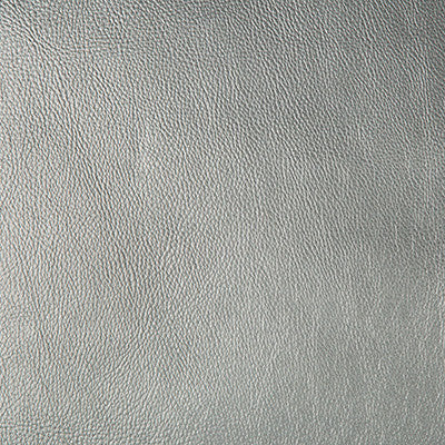 Secretariat 21 by Kravet Design Fabric