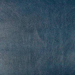 Secretariat 5 by Kravet Design Fabric