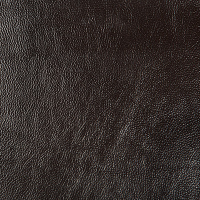 Secretariat 6 by Kravet Design Fabric