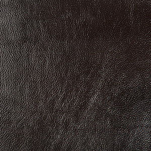 Secretariat 6 by Kravet Design Fabric