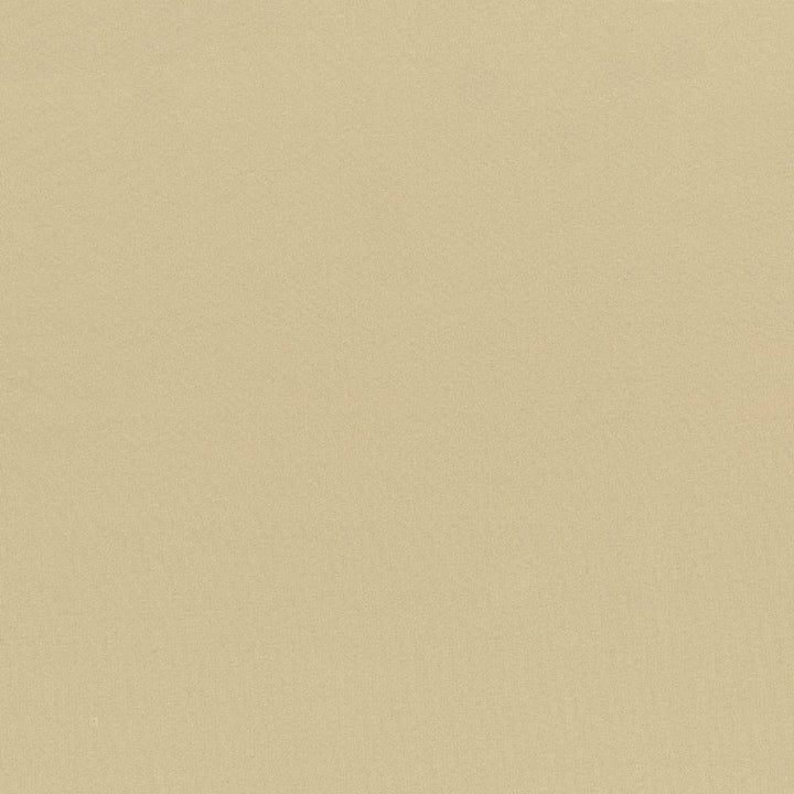 Seductive Almond by Kasmir Fabric 5052 INDIA 6,000 Wyzenbeek Double Rubs H: N/A, V:N/A 53 - Fabric Carolina - Kasmir