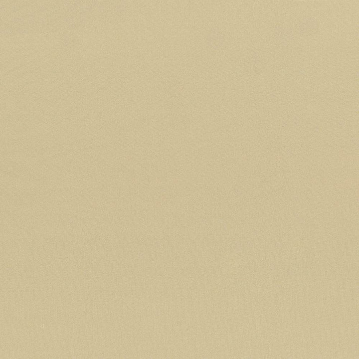 Seductive Almond by Kasmir Fabric 5052 100% Polyester
 INDIA </p><p>Repeat: Horizontal: N/A and Vertical: N/A 53 - Fabric Carolina -