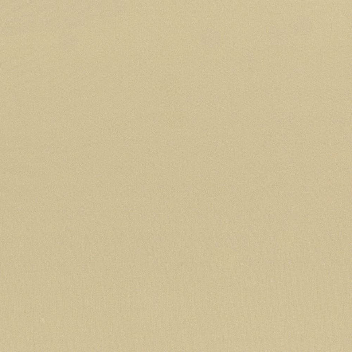 Seductive Almond by Kasmir Fabric 5052 100% Polyester
 INDIA </p><p>Repeat: Horizontal: N/A and Vertical: N/A 53 - Fabric Carolina -