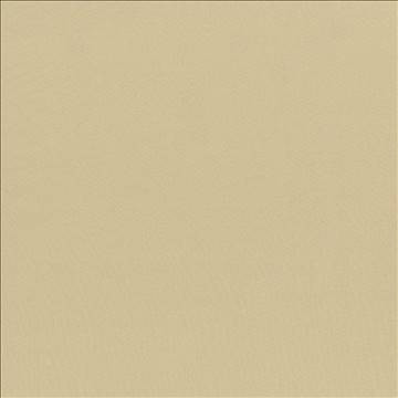Seductive Almond by Kasmir Fabric 5052 100% Polyester INDIA 6,000 Wyzenbeek Double Rubs H: N/A, V: N/A 53 - Fabric Carolina - Kasmir