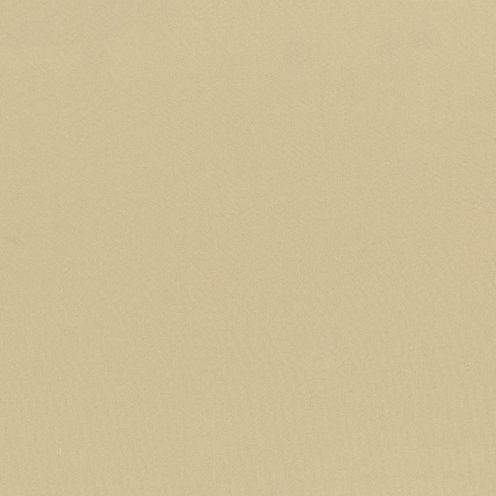 Seductive Almond by Kasmir Fabric 5052 100% Polyester
 INDIA 6,000 Wyzenbeek Double Rubs </p><p>Repeat: Horizontal: N/A and Vertical: N/A 53 - Fabric Carolina -