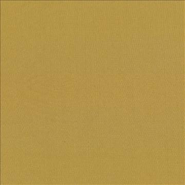 Seductive Amber by Kasmir Fabric 5052 100% Polyester INDIA 6,000 Wyzenbeek Double Rubs H: N/A, V: N/A 53 - Fabric Carolina - Kasmir