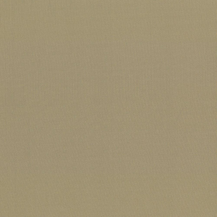 Seductive Antique by Kasmir Fabric 5052 100% Polyester
 INDIA </p><p>Repeat: Horizontal: N/A and Vertical: N/A 53 - Fabric Carolina -
