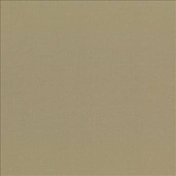 Seductive Antique by Kasmir Fabric 5052 100% Polyester INDIA 6,000 Wyzenbeek Double Rubs H: N/A, V: N/A 53 - Fabric Carolina - Kasmir