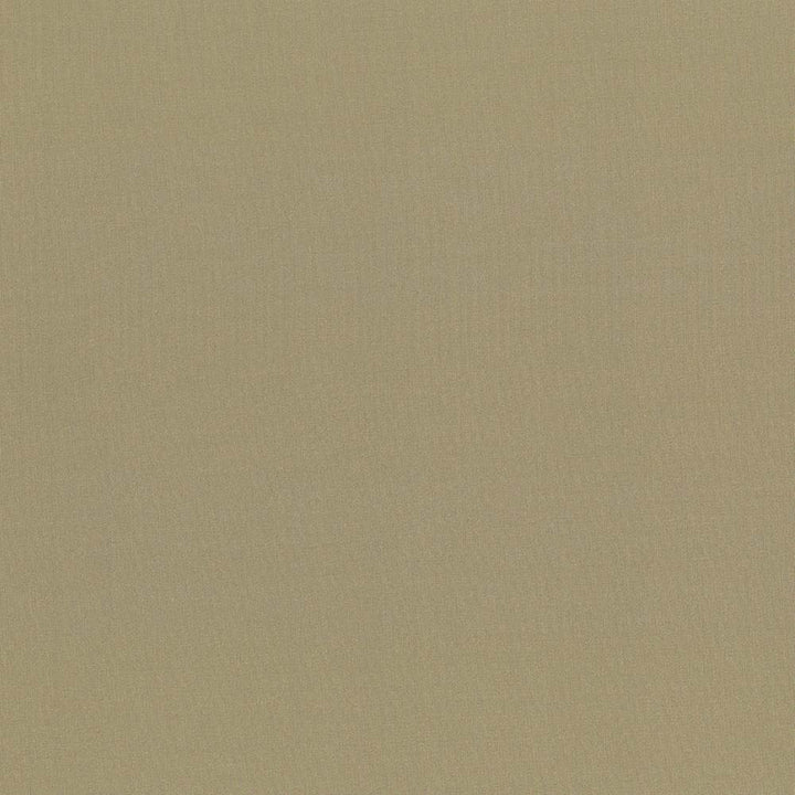 Seductive Antique by Kasmir Fabric 5052 100% Polyester
 INDIA </p><p>Repeat: Horizontal: N/A and Vertical: N/A 53 - Fabric Carolina -