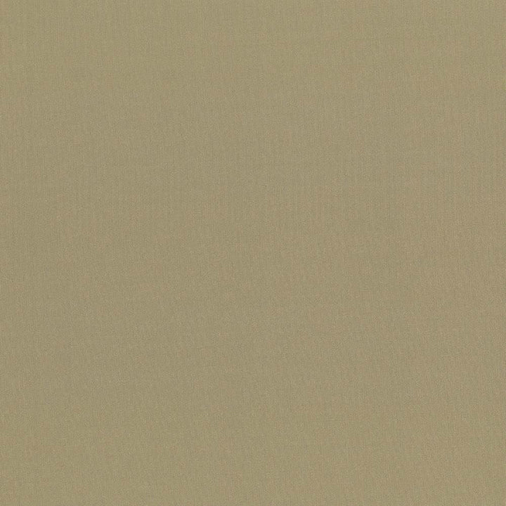 Seductive Antique  by Kasmir Fabric See sample 100% Polyester
 INDIA 6,000 Wyzenbeek Double Rubs </p><p>Repeat: Horizontal: N/A and Vertical: N/A 53  - Fabric Carolina -