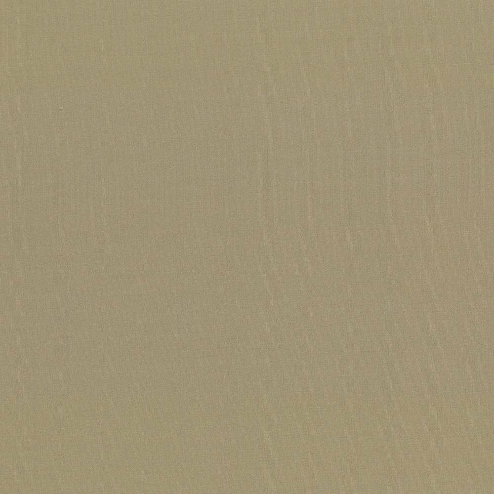 Seductive Antique by Kasmir Fabric 5052 INDIA 6,000 Wyzenbeek Double Rubs H: N/A, V:N/A 53 - Fabric Carolina - Kasmir