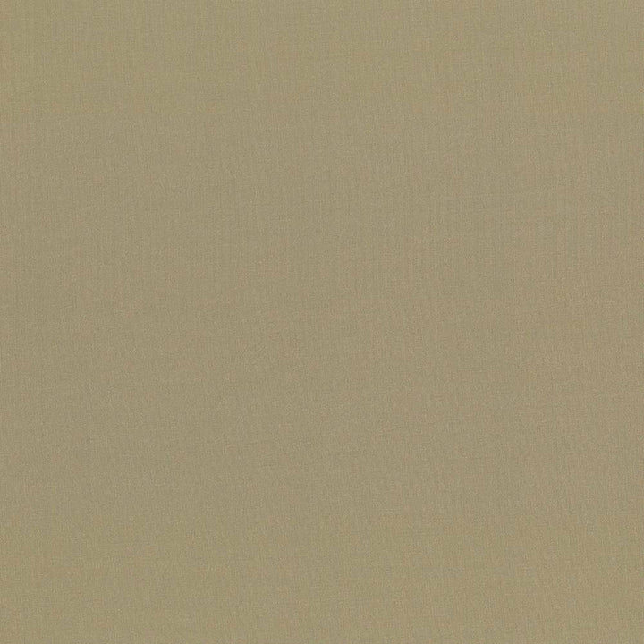 Seductive Antique by Kasmir Fabric 5052 INDIA 6,000 Wyzenbeek Double Rubs H: N/A, V:N/A 53 - Fabric Carolina - Kasmir