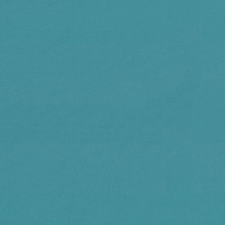 Seductive Baltic by Kasmir Fabric 5052 100% Polyester
 INDIA 6,000 Wyzenbeek Double Rubs Horizontal: N/A and Vertical: N/A 53 - Fabric Carolina -