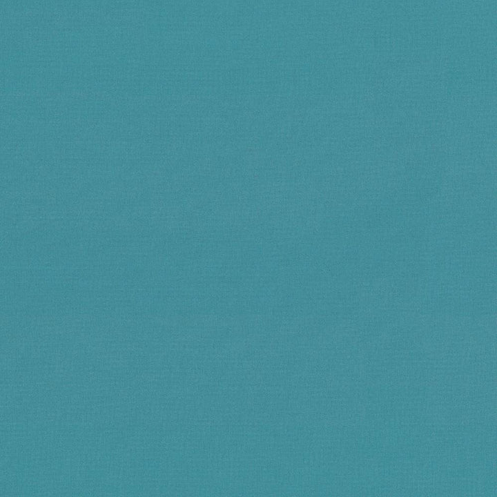 Seductive Baltic by Kasmir Fabric 5052 100% Polyester
 INDIA </p><p>Repeat: Horizontal: N/A and Vertical: N/A 53 - Fabric Carolina -