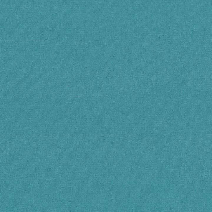 Seductive Baltic by Kasmir Fabric 5052 100% Polyester
 INDIA </p><p>Repeat: Horizontal: N/A and Vertical: N/A 53 - Fabric Carolina -