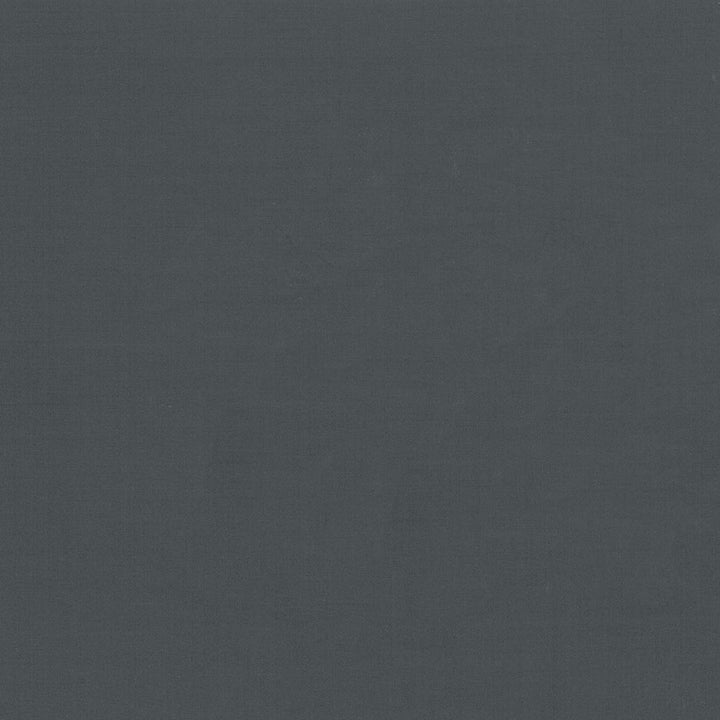 Seductive Black by Kasmir Fabric 5052 100% Polyester
 INDIA </p><p>Repeat: Horizontal: N/A and Vertical: N/A 53 - Fabric Carolina -