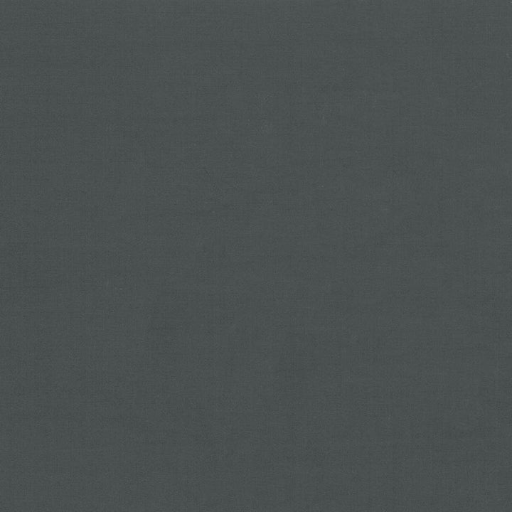 Seductive Black by Kasmir Fabric 5052 100% Polyester
 INDIA </p><p>Repeat: Horizontal: N/A and Vertical: N/A 53 - Fabric Carolina -