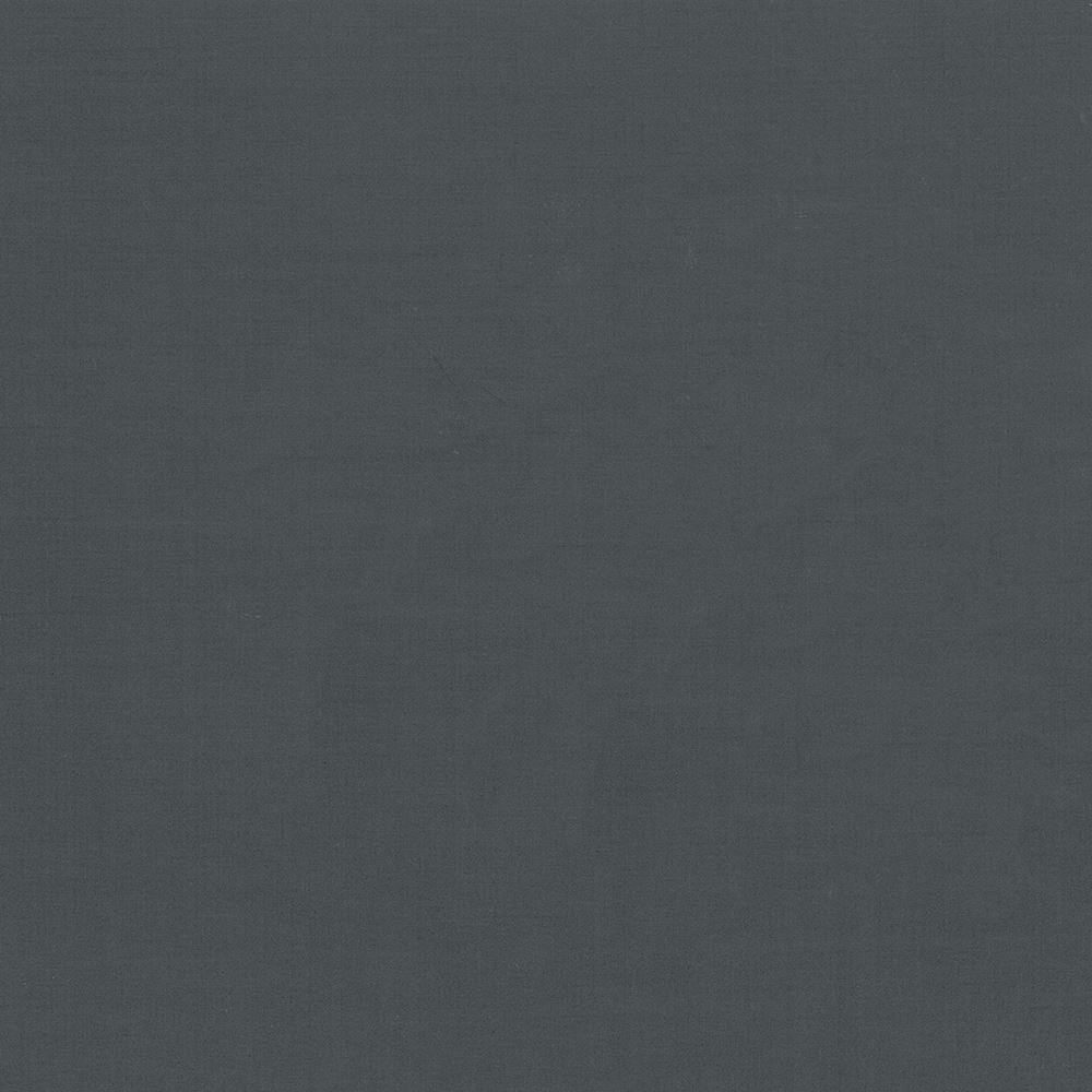 Seductive Black by Kasmir Fabric 5052 100% Polyester
 INDIA </p><p>Repeat: Horizontal: N/A and Vertical: N/A 53 - Fabric Carolina -