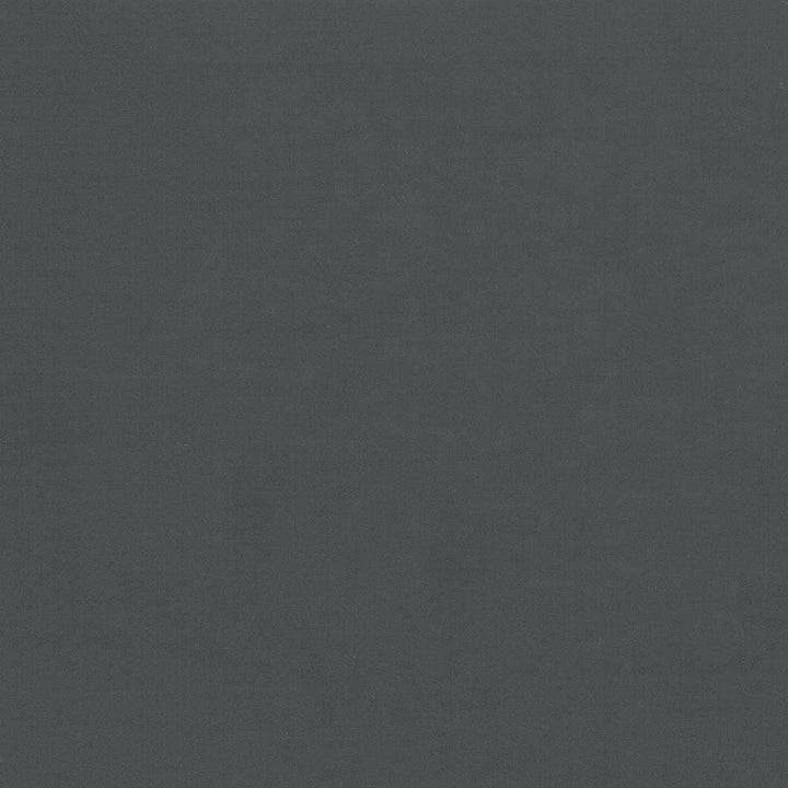 Seductive Black by Kasmir Fabric 5052 100% Polyester
 INDIA 6,000 Wyzenbeek Double Rubs Horizontal: N/A and Vertical: N/A 53 - Fabric Carolina -