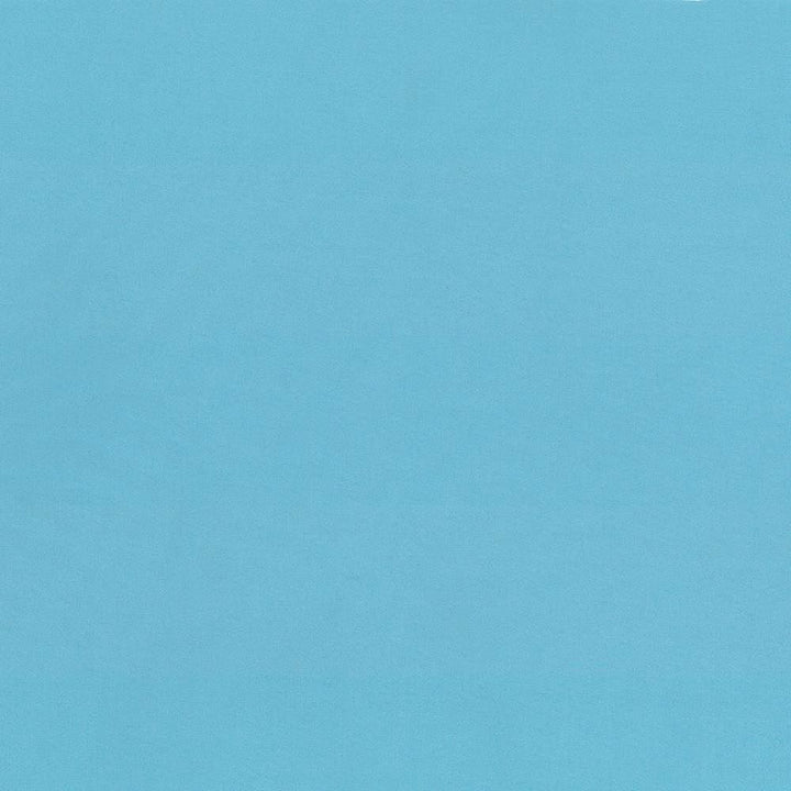Seductive Capri by Kasmir Fabric 5052 100% Polyester INDIA 6,000 Wyzenbeek Double Rubs Horizontal: 0 Inches and Vertical: 0 Inches 53 - Fabric Carolina -
