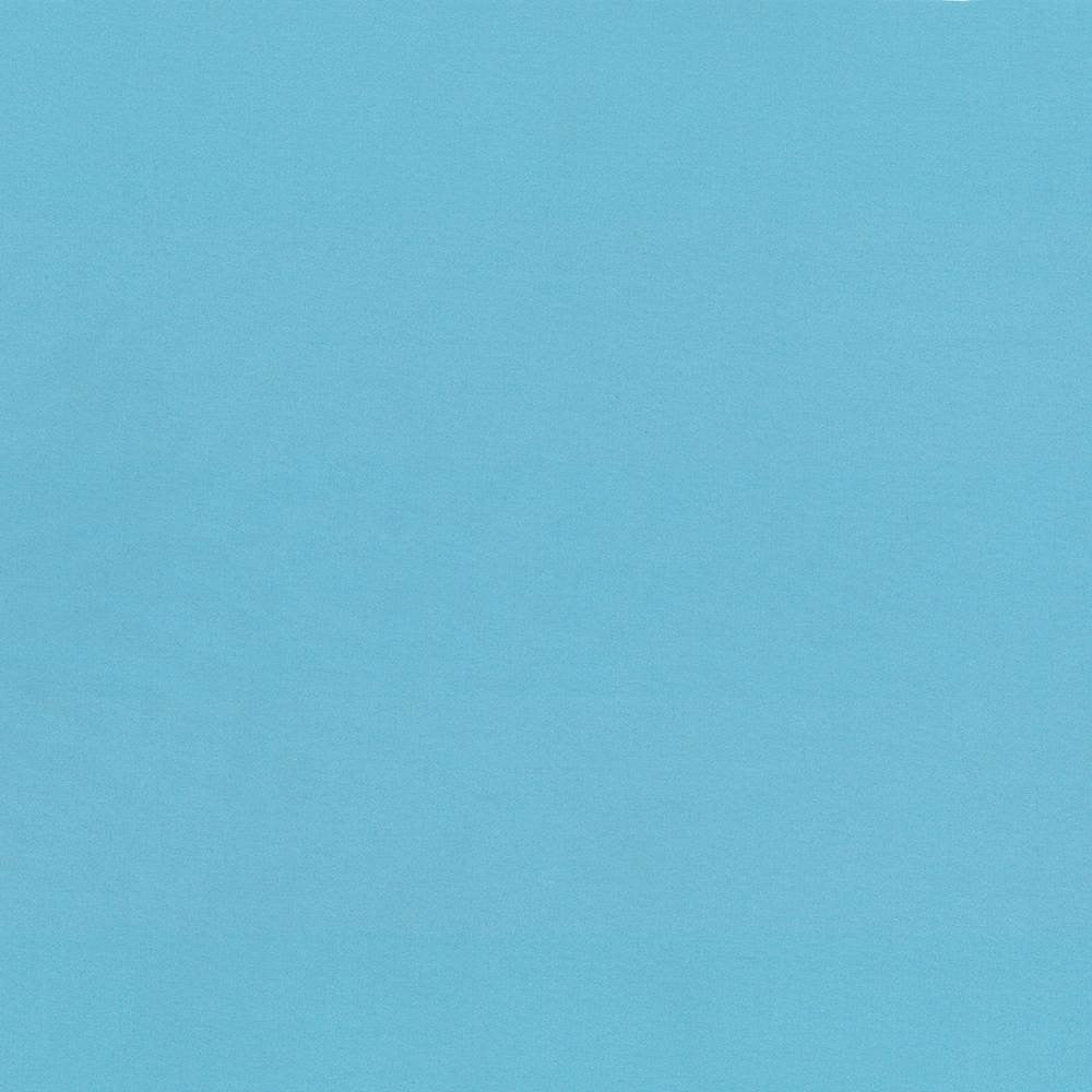 Seductive Capri by Kasmir Fabric 5052 100% Polyester
 INDIA </p><p>Repeat: Horizontal: N/A and Vertical: N/A 53 - Fabric Carolina -