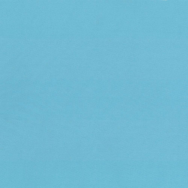 Seductive Capri by Kasmir Fabric 5052 100% Polyester
 INDIA </p><p>Repeat: Horizontal: N/A and Vertical: N/A 53 - Fabric Carolina -