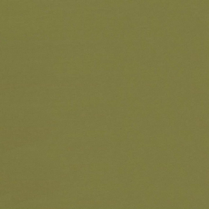 Seductive Cedar by Kasmir Fabric 5052 100% Polyester
 INDIA 6,000 Wyzenbeek Double Rubs Horizontal: N/A and Vertical: N/A 53 - Fabric Carolina -